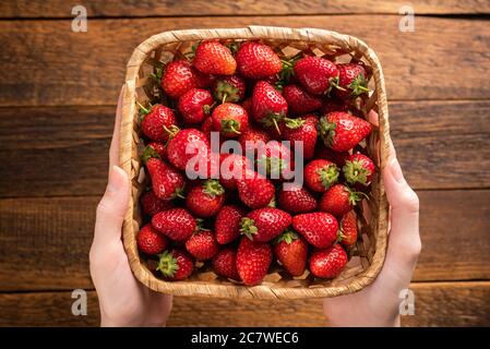 Frische Erdbeeren im Korb in weiblichen Händen auf Holzhintergrund. Draufsicht. Erdbeeren aus biologischem Anbau Stockfoto
