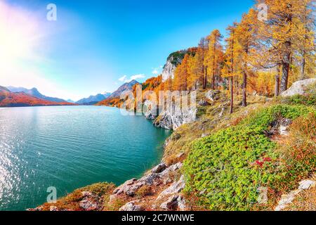 Malerische Herbstszene in den Schweizer Alpen und Blick auf den Silsersee. Bunte Herbstszene der Schweizer Alpen. Lage: Maloya, Engadin, GRI Stockfoto