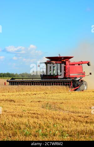 Kombinieren Sie Harvester erntet reifen Weizen Stockfoto