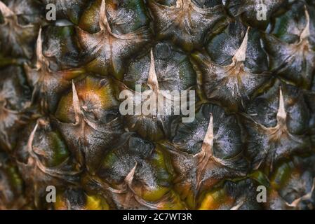 Ananas Nahaufnahme Textur. Haut einer reifen Ananas. Tropische Früchte. Stockfoto