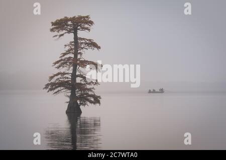 Angeln auf dem Reelfoot See in Tennessee während des frühen Morgennebels im Herbst Stockfoto