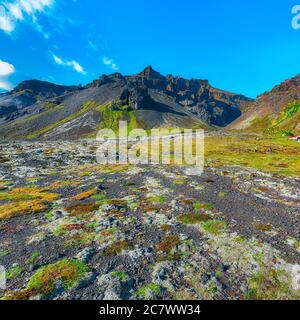 Typische Ansicht der felsigen Lavaebenen Islands, bedeckt von Moos und Bergen im Hintergrund. Lage: Dorf Hof, Skaftafell, Vatnajokull National P Stockfoto