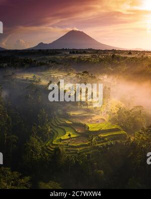 Vertikale Luftaufnahme der schönen Landschaft nahe dem Mount Agung (Gunung Agung), Indonesien Stockfoto