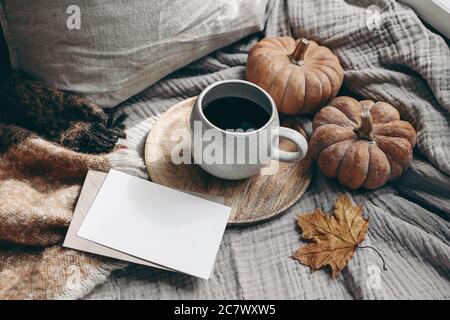 Herbst feminine Stil Komposition. Herbstfrühstück Stillleben. Leere Grußkarte Mock-up Szene mit Tasse Kaffee, Wolldecke, Ahornblatt und Stockfoto