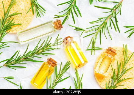 Rosmarin ätherisches Öl in kleinen Glasflaschen, weißer Hintergrund. Aromatherapie, alternative Medizin, Gesundheitskonzept. Stockfoto