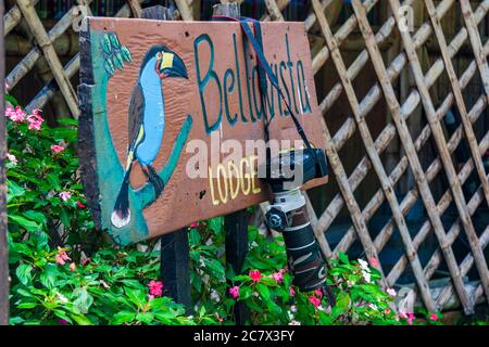 Bellavista Cloud Forest Reserve, Bellavista Lodge, in Bellavista, Ecuador Stockfoto