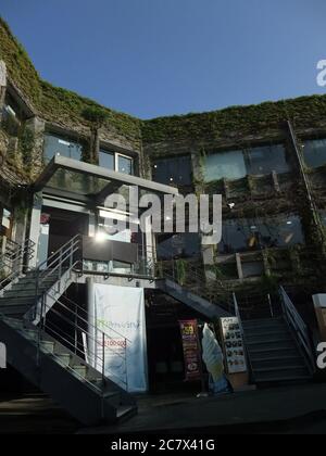 Taipei, 10. MÄRZ 2009 - Sonnenansicht des Xiao-Fu Platzes in NTU Stockfoto