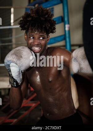 HAVANNA, KUBA - CA. JANUAR 2020: Porträt eines Boxers in Havanna. Stockfoto