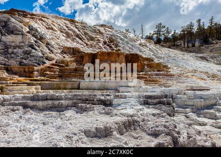 Großartige Mammoth Gegend im Yellowstone Nationalpark, von Palette Springs aus gesehen Stockfoto