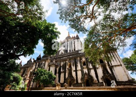 Blick auf Thatbyinnyu Tempel unter Sonnenschein blauen Himmel. Das höchste Pahto in Bagan Myanmar. Sonnenlicht scheint durch Bäume. Weitwinkel Stockfoto