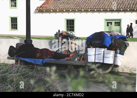 Obdachlose Frau schläft auf einer Parkbank während der COVID-19 Pandemie, Monterey CA. Redaktionell. Stockfoto