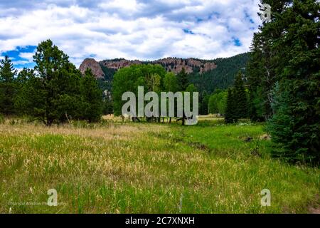 Berge und Wiese im Staunton State Park Colorado Stockfoto