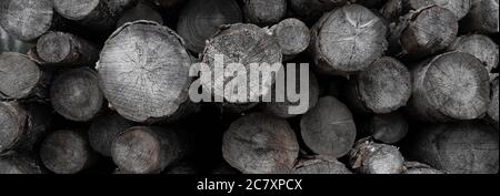 Ein Hintergrund aus alten Rundholzstämmen, dunklem Schwarz und Weiß und einem texturellen Panorama. Stockfoto
