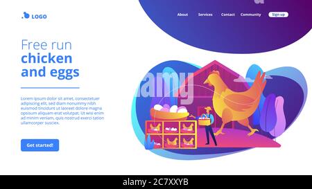 Free Run Huhn und Eier Konzept Landing Page. Stock Vektor