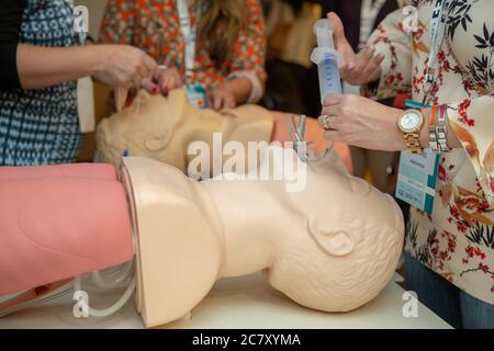 Medizinisches Atemwegsmodell zum Üben des Einführens mehrerer Atemwegsgeräte Und endotracheale Intubation Stockfoto