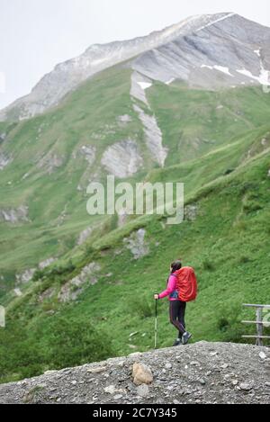 Vertikale Aufnahme Rückansicht der weiblichen Wanderer mit Rucksack, genießen Sie den Blick auf schöne Hügel mit Gras bedeckt. Frau mit Trekkingstöcken mit Blick auf majestätische Berglandschaft. Konzept des Wanderns. Stockfoto