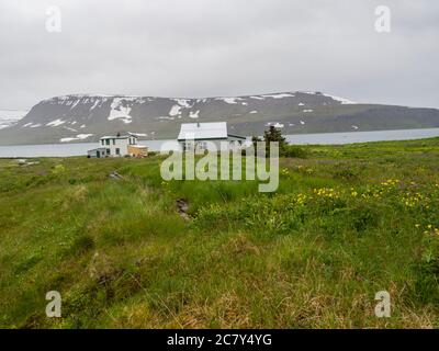 Blick auf das verlassene Dorf Heysteri in Island Westfjorde im abgelegenen Naturschutzgebiet Hornstrandir, kleine weiße Häuser mit üppigem grünen Gras, Fjorde Stockfoto