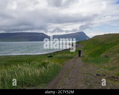 Island, Westfjorde, Hornstrandir, Latemar, 26. Juni 2018: Einsamer Wanderer mit schwerem Rucksack auf Wanderwegen in der Bucht von Adalvik in der Natur Stockfoto