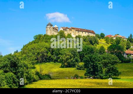 Mittelalterliches Schloss von Belvoir im Département Doubs der Region Bourgogne-Franche-Comte in Frankreich. Stockfoto