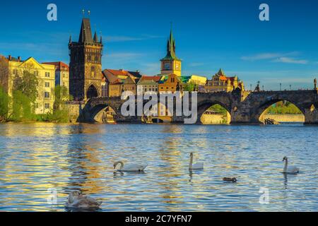 Schöne europäische Stadt mit tollen touristischen und historischen Orten. Prager Stadtbild mit bunten Gebäuden und Schwanen am Fluss, Tschechien, Stockfoto
