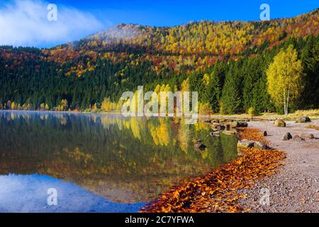 Bewundernswerte Herbstlandschaft mit bunten Laubbäumen im Wald und berühmten vulkanischen See. Fantastischer touristischer und Reise Ort mit Saint Ana l Stockfoto