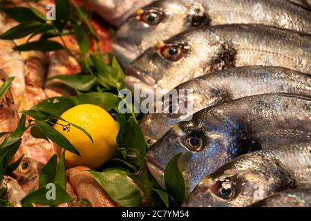 Goldbrasse und Rote Meeräsche zum Verkauf und Fischmarkt in Frankreich. Fisch hat wichtige Nährstoffe wie Protein, Vitamin D, Omega-3. Gesunde Ernährung Konz Stockfoto