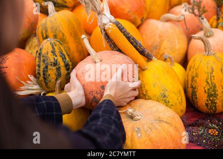 Nahaufnahme Frau, die Kürbis für Halloween-Tag im Herbst Bauernhof Shop Stockfoto