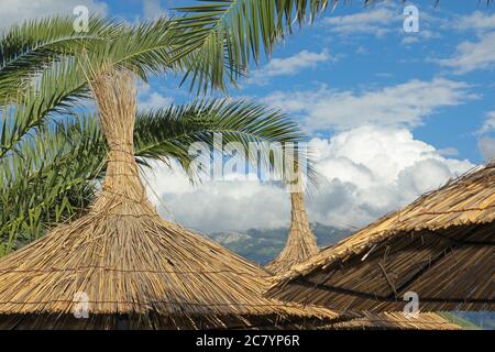 Strohsonnenschirme und Palmenblätter über dem wolkigen Himmel in Montenegro Stockfoto