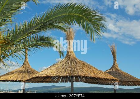 Große Strohschirme und Palmenblätter am Strand in Montenegro Stockfoto