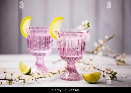 2 Gläser harter Seltzer in vintage rosaroten Gläsern mit einer Limettengarnitur serviert. Gläser werden auf rustikalem weißen Holztisch mit Apfelblüte gesetzt Stockfoto