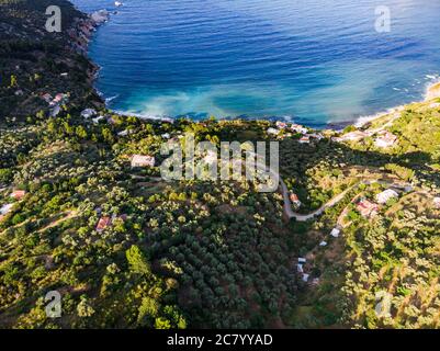 Drohnenblick über das Ufer von Skopelos im Sommer mit seinen Stränden und der herrlichen Küste. Stockfoto