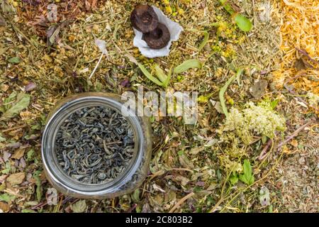 Sortiment von getrockneten natürlichen medizinischen Kräutern, Tee. Phytotherapie. Kräutermischung für Aromatherapie Stockfoto