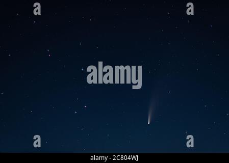 Komet C/2020 F3 Neowise am Nachthimmel über Kiel in Deutschland Stockfoto
