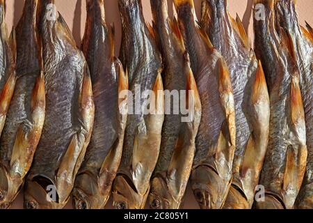 Einige ruckige oder getrocknete salzige Taranka, leckere Clipfish auf rosa Hintergrund. Beliebter Biersnack. Traditionelle Art der Fischkonservierung. Nahaufnahme Stockfoto