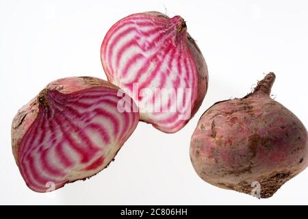 Eine frisch geschnittene offene Chioggia oder Candy Striped Rote Bete auf weißem Hintergrund Stockfoto