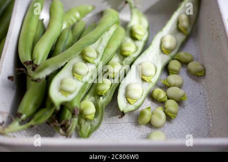 Eine Nahaufnahme der breiten Bohnen teilweise in einer Schüssel auf einer Tischplatte geschält Stockfoto