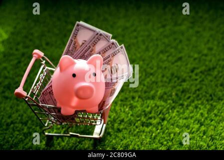 Trolley mit Sparschwein Sparschwein und Cash-Dollars auf einem Hintergrund von grünem Gras. Konzept des Sommer-Shopping oder Geld sparen. Stockfoto