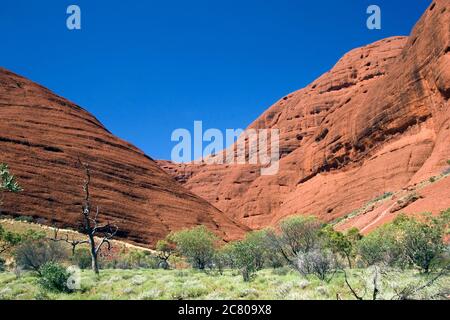 Blick auf die hoch aufragenden Kata Tjuta (die Olgas) Felsformationen am Uluru - Kata Tjuta National Park, Australien Stockfoto