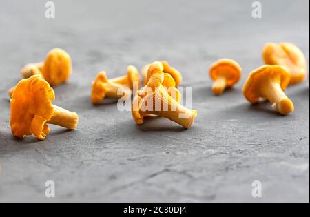 Pfifferlinge. Bio frische Pfifferlinge auf grauem Beton Hintergrund. Weichfokus. Nahaufnahme. Stockfoto