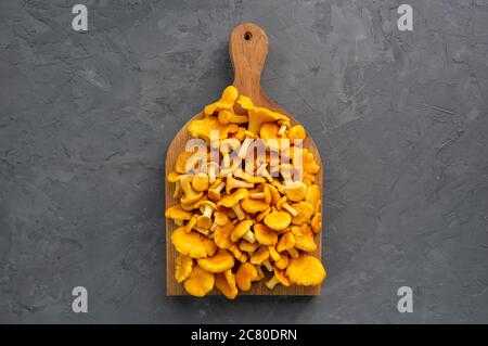 Pfifferlinge. Bio frische Pfifferlinge auf grauem Beton Hintergrund. Flach liegend. Nahaufnahme. Stockfoto