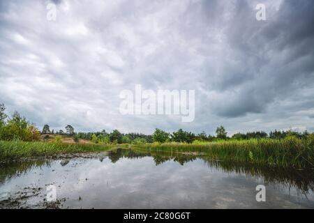 Grün rauscht an einem kleinen Waldsee in der Wildnis mit dunklen Wolken haning oben Stockfoto