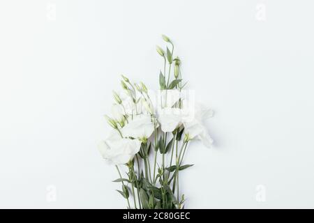 Minimalistisches flaches Bouquet von frischen zarten Lisianthus-Blüten auf weißem Hintergrund. Stockfoto