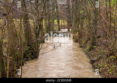 Ein Wasserstrom, der in Herbstfarben durch einen Wald fließt. Bild von Scania in Südschweden. Stockfoto
