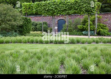 Blick auf die Drifts von Grass Garden innerhalb der ummauerten Garten des herrschaftlichen Regency-Hauses Scampston Hall im Norden Yorkshire Stockfoto