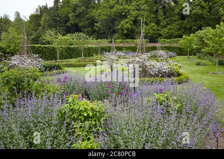 Blick auf die Perennial Meadow, Scampston Hall Walled Garden, entworfen vom niederländischen Landschaftsdesigner Piet Oudolf Stockfoto