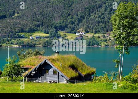 Norwegen, Haus mit Grasdach am Lusterfjord Stockfoto