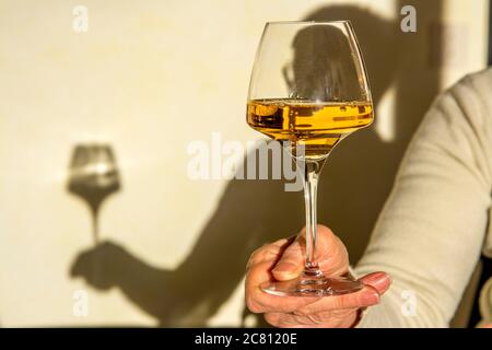 Hand hält ein Glas Weißwein und wirft einen Schatten an einer Wand in warmer Beleuchtung während eines gemütlichen Abends Stockfoto