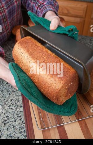 Frau, die gerade gebackenes Mehrkornbrot aus der Brotpfanne entfernt Stockfoto