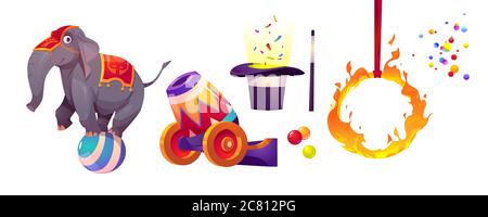 Zirkus-Ikonen mit Elefant auf Ball, Feuerring, Kanone, Hut und Zauberstab. Vektor Cartoon Satz von Zirkus Performance-Elemente auf weißem Hintergrund isoliert Stock Vektor