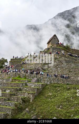 Machu Picchu Terrassen im Morgennebel Stockfoto